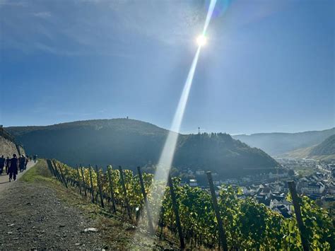 Fotogalerie Weinherbst Mittelahr In Dernau