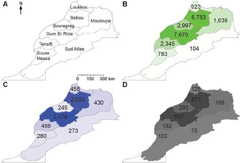 Superficie Du Maroc En Km2