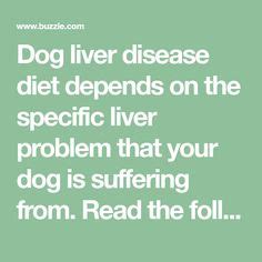 27 Liver Shunt diet for dogs ideas | liver, diet, dog food recipes