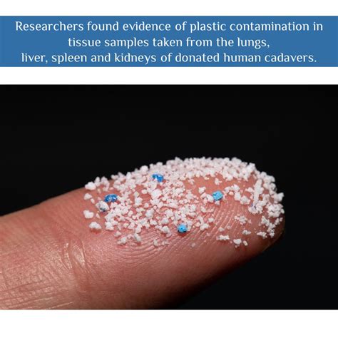 Effects Of Microplastics On Human Health