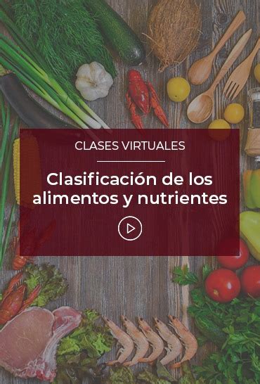 Clasificación de los alimentos y nutrientes Esneca TV