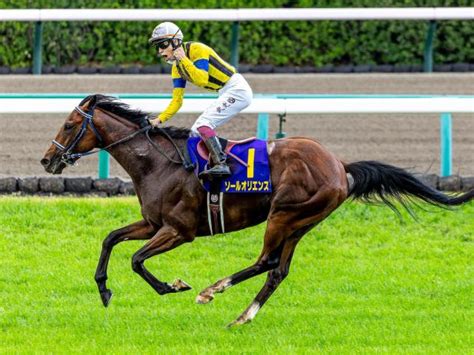 【日本ダービー】ソールオリエンスが史上8頭目の無敗2冠なるか 競馬ニュース Netkeiba