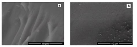 Sem Images After Acetic Acid Corrosion A Uncoated Glass And B