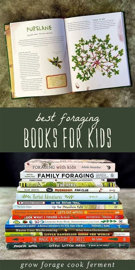 Best Foraging Books For Kids Homestead Living