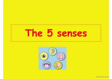 28 Senses English Esl Powerpoints