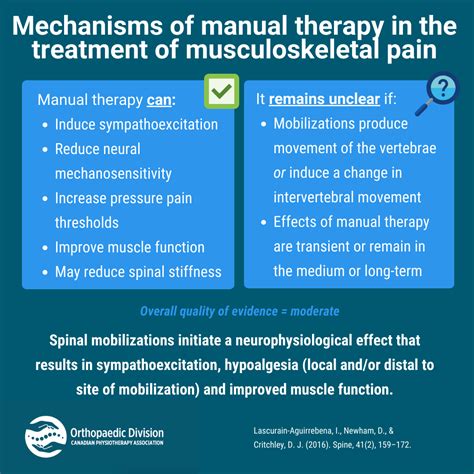 Mechanisms Of Manual Therapy In The Treatment Of Musculoskeletal Pain