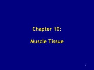 PPT Dermatomyositis Muscle Histology PowerPoint Presentation Free