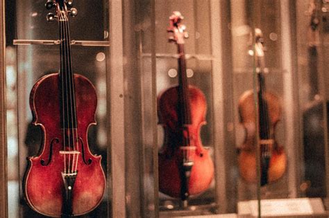 Consigli Violino Acquisto Marche Modelli Misura E Come Iniziare