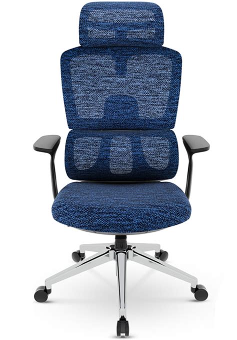 Dripex Ergonomic Office Chair High Back Desk Chair With D Armrest