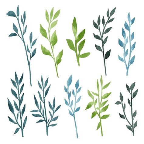 Premium Vector Watercolor Collection Of Green Leaves Elements