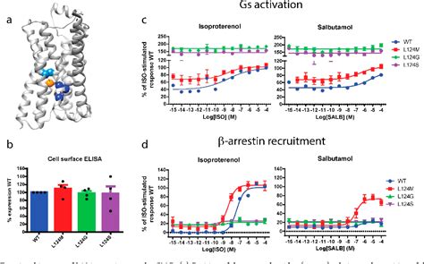 Figure From Structural Insight Into G Protein Coupled Receptor