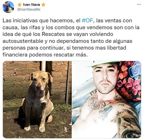 Hombre gay mexicano abrió un OnlyFans para financiar su labor de rescate animal Infobae