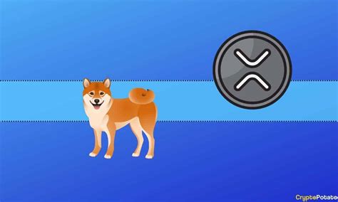 The Past Hours For Ripple Xrp Shiba Inu Shib And More