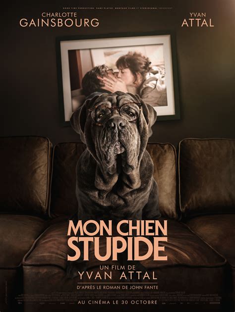 Mon Chien Stupide 2 Of 2 Extra Large Movie Poster Image IMP Awards