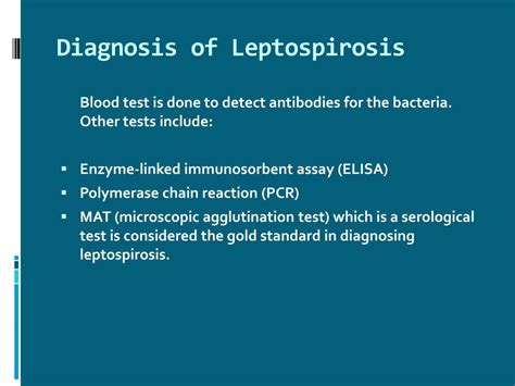 Ppt Leptospirosis Causes Symptoms Daignosis Prevention And Treatment Powerpoint