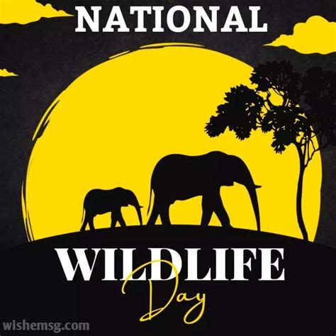 200 Happy World Wildlife Day Quotes Wishes Messages 2024 Wishemsg