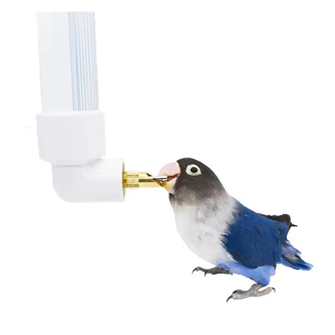 Dispensador De Agua Para Loros Botella Colgante De 130ml Alimentador