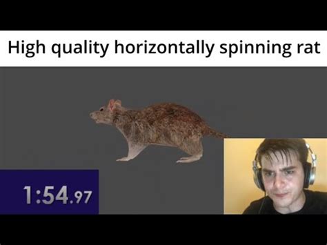 High Quality Horizontally Spinning Rat World Record Speedrun YouTube