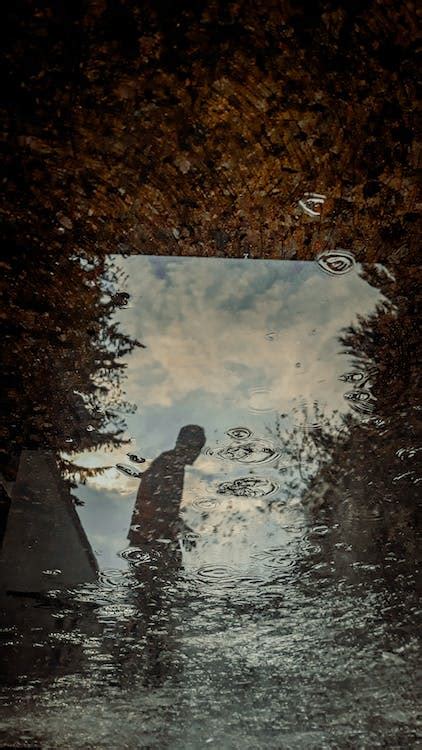 Reflection in a Puddle · Free Stock Photo