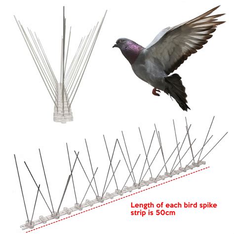 * Pigeon Spikes - Buy Online & Save | Sale Now On