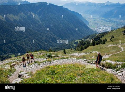 Mountain Trail Rochers De Naye Montreux Vaud Switzerland Stock