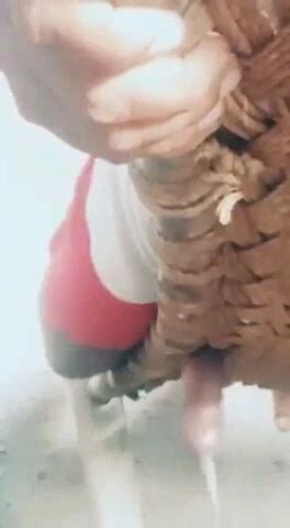 Lun Free Solo Man Porn Video E XHamster