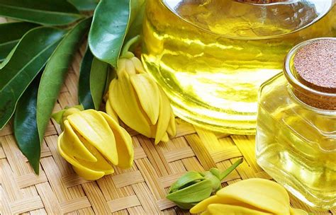 Quels Sont Les Bienfaits De Lhydrolat Dylang Ylang