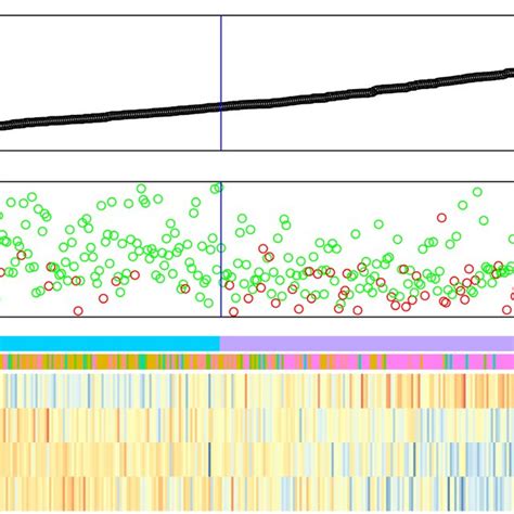 Construction Of Prognostic Risk Score Model Based On 4 Gene Signature