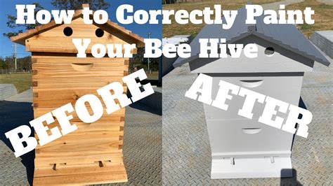 How And Why To Paint Your Bee Hive The Correct Way Youtube