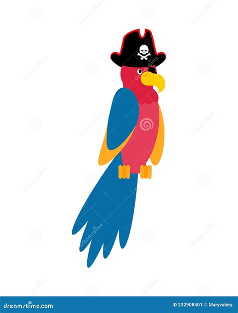 Parrot Pirate Isolated Cartoon Talking Bird For Pirate Stock Vector