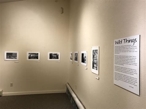 Six Week Spotlight Haines Sheldon Museum
