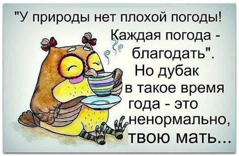 #юмор #приколы #смех #погода #лето #холод | Funny expressions, Clever ...