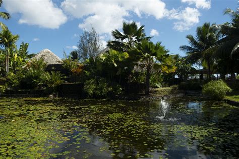 Visiter Tahiti Et Papeete Ce Quil Faut Voir Et Faire Absolument