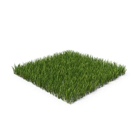 Grass Patch PNG Images & PSDs for Download | PixelSquid - S11273026A