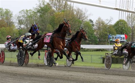 Maturity Champions — Hambletonian Society