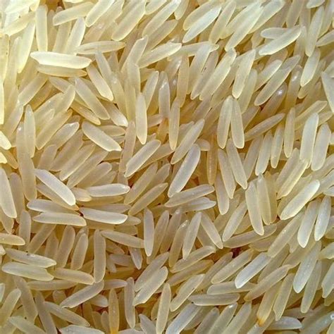 India Gate Sugandha Golden Sella Rice At Rs Kg In Ahmedabad Id