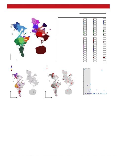 PDF Cross Talk Between The Airway Epithelium And Activated Immune