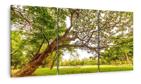 Quadro Árvore Natureza Verde Conjunto Decorativo 180x90 Parcelamento