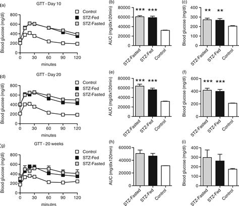 Streptozotocin Is Equally Diabetogenic Whether Administered To Fed Or