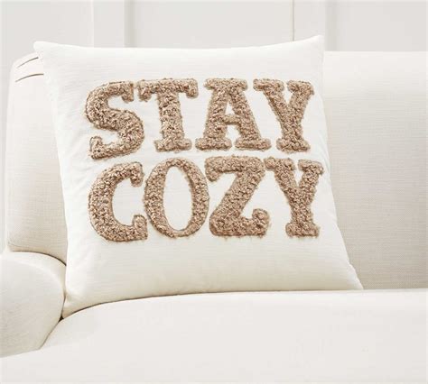 Stay Cozy Teddy Faux Fur Applique Pillow Cover Pottery Barn