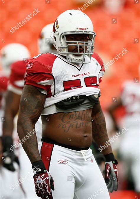 Arizona Cardinals Linebacker Joey Porter Warms Editorial Stock Photo ...