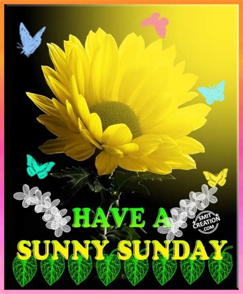 Have A Sunny Sunday