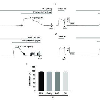 Effect Of K Channel Blockers On T Caulis Extract Induced