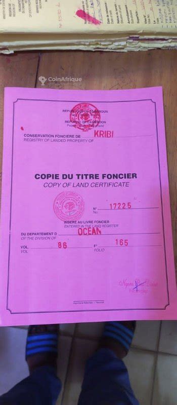 Terrains Terrain Ha Kribi Au Cameroun Coinafrique Cameroun