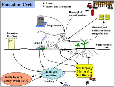 34 The Major Nutrients Or Macronutrients Fertmart