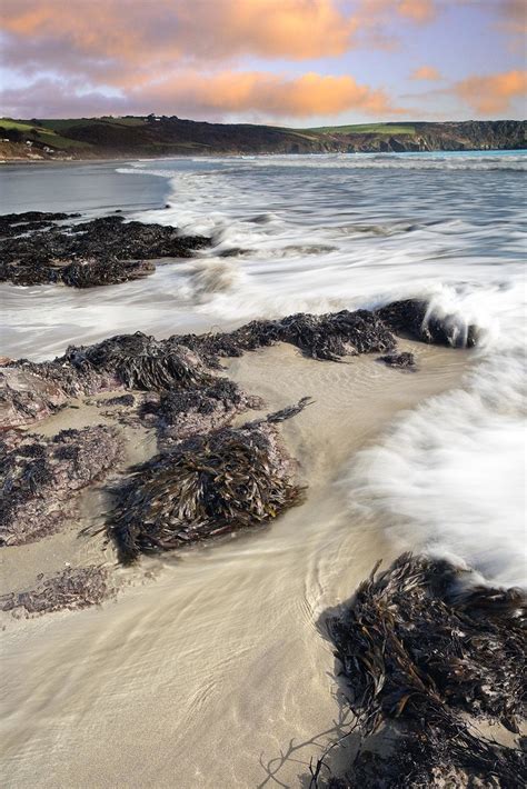 Shoreline Pendower Beach The Roseland Cornwall Raymond Bradshaw