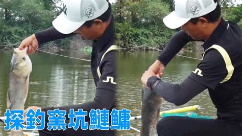 鄧剛釣魚：探釣窯坑鰱鳙，沒想到黃金大鰱瘋狂上鉤，旁邊的群眾陣陣驚呼【天元邓刚】 Youtube