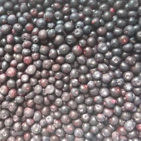 IQF BLUEBERRY Qingdao Pegas Trading Co Ltd