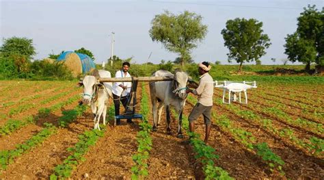 Central Government Gave Big Relief To Farmers Pm Kisan Yojana Ekyc