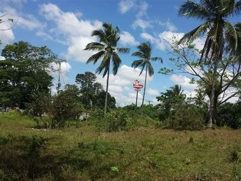 Silang Cavite Commercial Lot Along Aguinaldo Highway 4 5 Hectares About